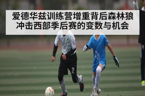爱德华兹训练营增重背后森林狼冲击西部季后赛的变数与机会